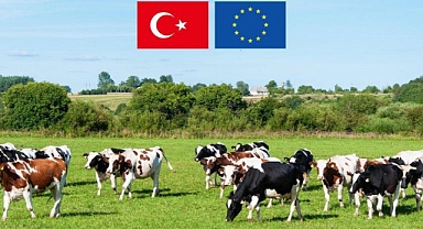IPARD II kapsamında verilen hibe destekleri sürüyor