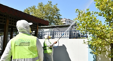 Esenyurt Belediyesi Teke Böceği ile Mücadeleyi Sürdürüyor