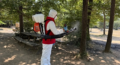 Arnavutköy’de Haşerelere Karşı Yoğun Mesai