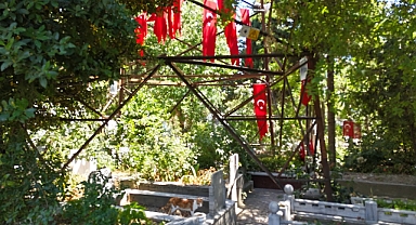 Cumhurbaşkanı Erdoğan’ın Bayrak Çağrısı Bağcılar’da Karşılık Buldu