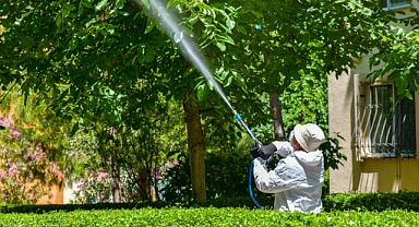 Esenyurt Belediyesi’nden Ağaçlara Teke Böceği Kalkanı