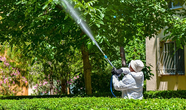 Esenyurt Belediyesi’nden Ağaçlara Teke Böceği Kalkanı