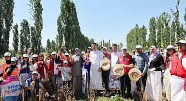 Gençler Tarlada, Geleceğe Umutla: Gönüllü Hasat Etkinliği Başladı!