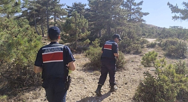 Jandarmadan Ormanlık Alanlara Sıkı Denetim