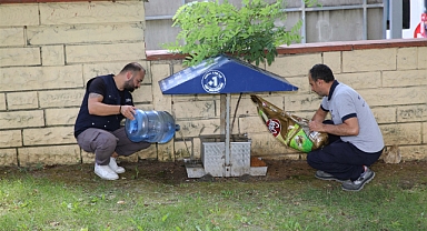 Küçükçekmece Belediyesi’nden Sokak Hayvanlarına Yaz Desteği