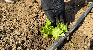 Silivri Belediyesi’nde Kışlık Fide Seferberliği Başladı
