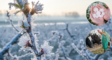 Tarım Sigortasında Rekor Ödeme: Ekim Ayında Üreticiye 11,6 Milyar Lira Hasar Tazminatı