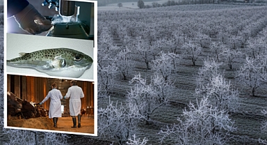 Çiftçilere 1,6 Milyar TL Destekleme Ödemesi