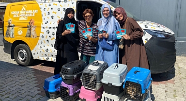 Fatih Belediyesi’nden Sahipsiz Sokak Hayvanlarına Güvenli Yuva