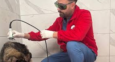 Sokak Hayvanları Tedavi Merkezimizde Biyomedikal Lazer Uygulaması Başladı