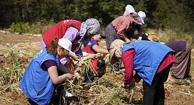 Gençler Tarımda Gönüllü Katılım Sağlıyor