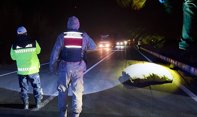 Van ve Hakkari’de Uyuşturucu İmalatçılarına Darbe: 446 Kilogram Madde Ele Geçirildi